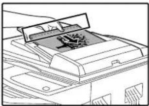 OLIVETTI d-COPIA 1601 - Place the original(s). - 2