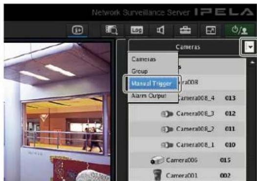 Network Surveillance Server IPELA Log Camera Cameras Group Manual Trigger Alarm Output Camera008_4 013 Camera008_3 012 Camera008_2 011 Camera008_1 010 Camera006 015 Camera001 002