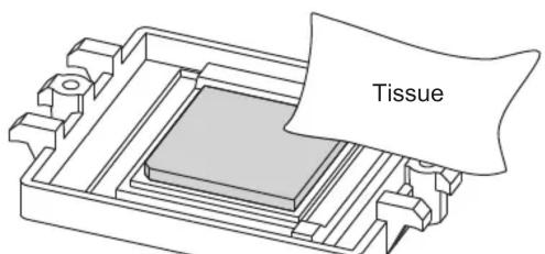 Tissue
