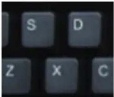 S D Z X C
