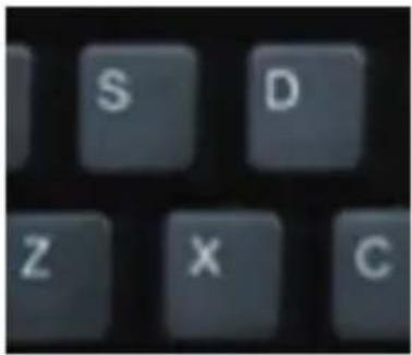 S D Z X C