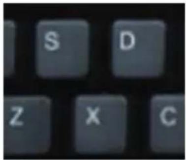 S D Z X C