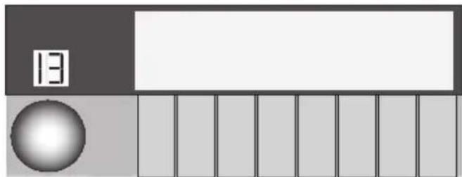 13