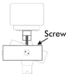 Screw