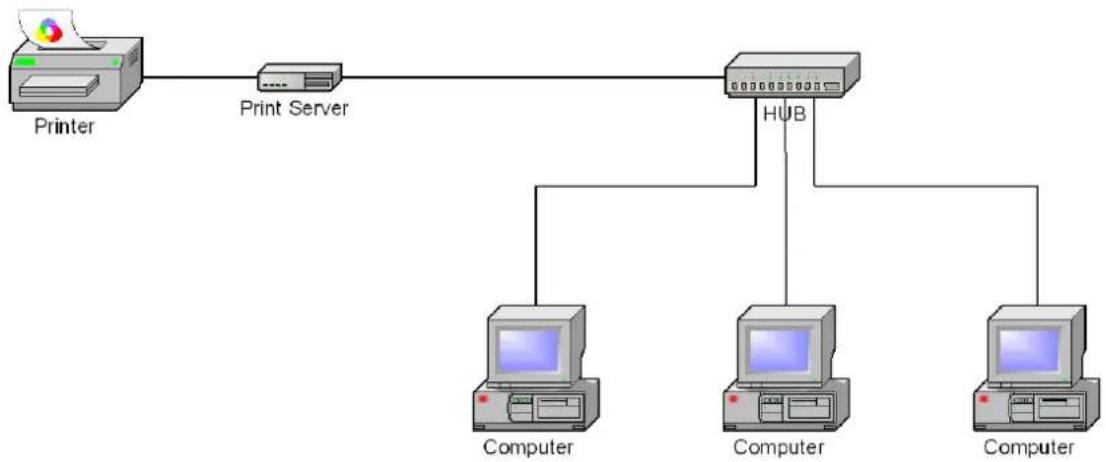 LEVELONE FPS-1033 - Network Environment - 1