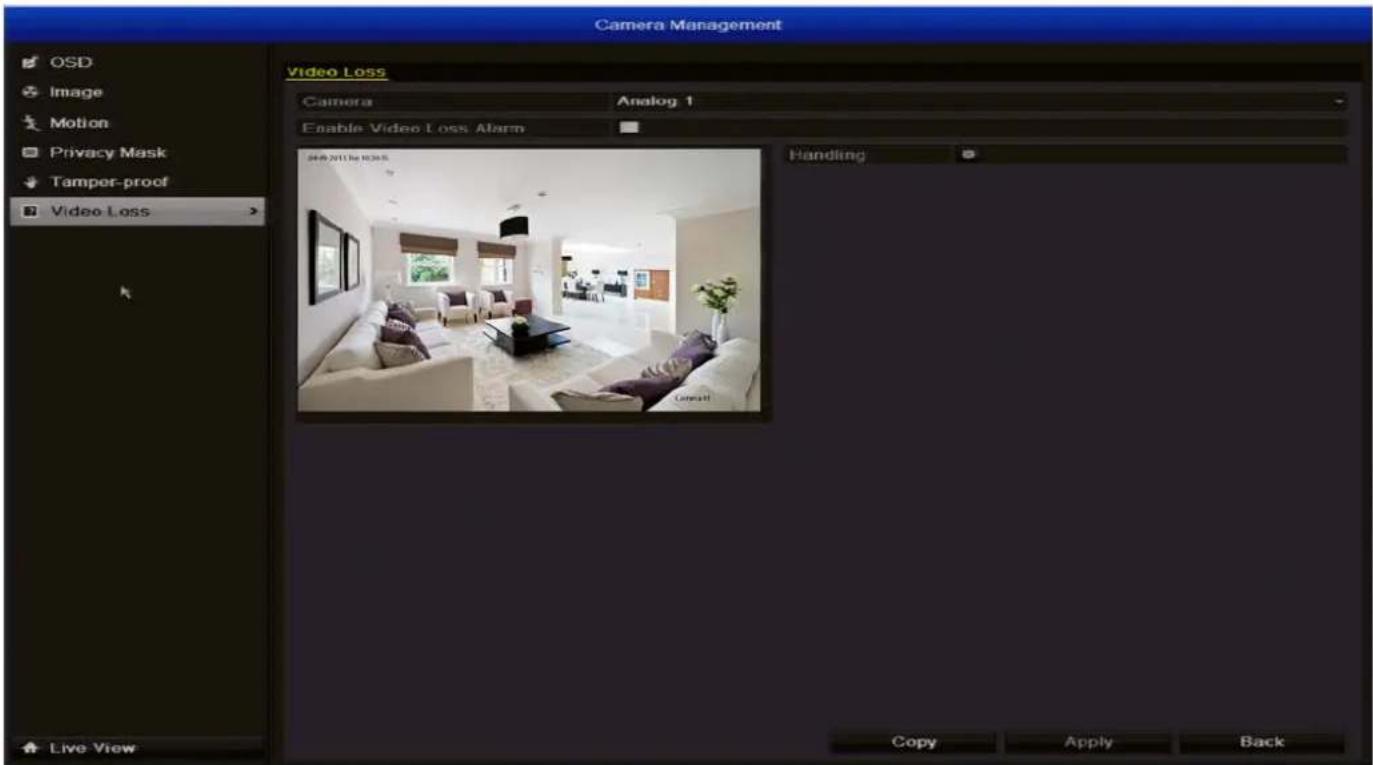 SWANN DVR4-1500 - Camera Management: Video Loss - 1