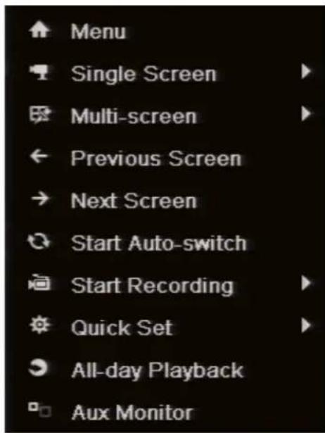 SWANN DVR4-1500 - The Quick Menu - 1