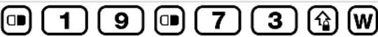 Quooker Q-COMBI-2.2-CLASSIC-BRCH - CN70e Keypads and Keystrokes - 235