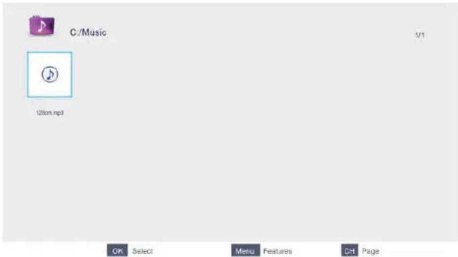 C:/Music 1/1 120cm.mp3 OK Select Menu Features CH Page