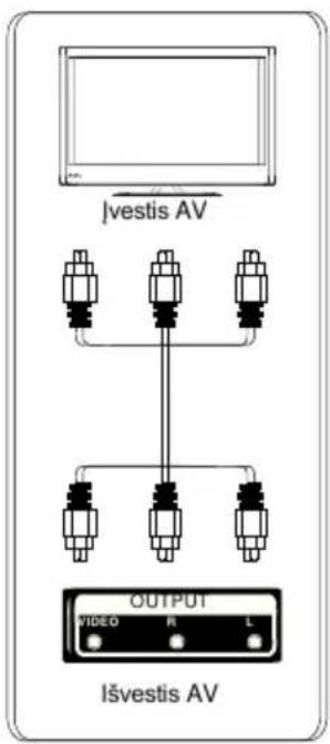 Ivestis AV OUTPUT VIDEO R L Išvestis AV