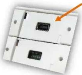 Neets SieRRa - USB - 2