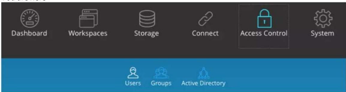 Dashboard Workspaces Storage Connect Access Control System Users Groups Active Directory