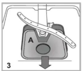 A 3