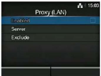 Proxy (LAN) Enabled Server Exclude
