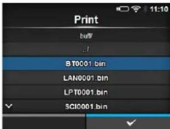 Print buff/ ..f BT0001.bin LAN0001.bin LPT0001.bin SCI0001.bin