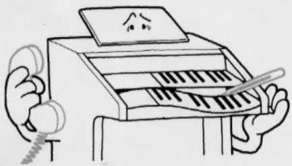 YAMAHA Electone D-30 - Read the following before playing - 2