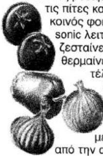 til tærter fælles ovn sonic funktion opvarmes opvarmes perfekt med fra ovnen