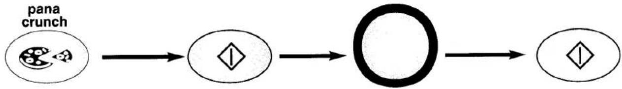 graph LR A["pana crunch"] --> B{Decision} B --> C["Loop Back"] C --> D{Decision}
