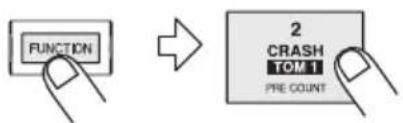 FUNCTION 2 CRASH TOM 1 PRE COUNT