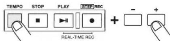 TEMPO STOP PLAY STEP REC + - + REAL-TIME REC