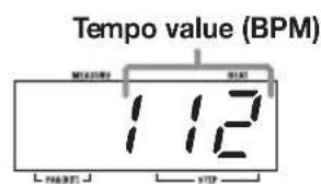 Tempo value (BPM) 1 12 MID:0000 0:00 L PAROT J STEP