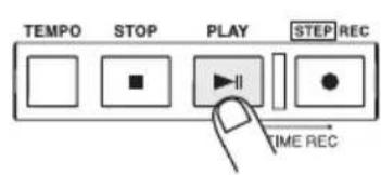TEMPO STOP PLAY STEP REC TIME REC