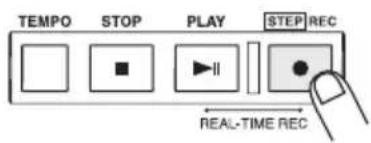 TEMPO STOP PLAY STEP REC REAL-TIME REC