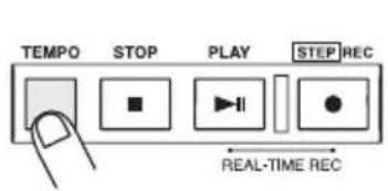 TEMPO STOP PLAY STEP REC REAL-TIME REC