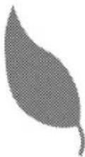 BLOMBERG BIO 7043 X - Please read these instructions before installation or using your appliance! - 1
