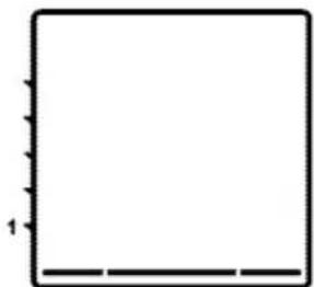 BLOMBERG BEO 9761 X - Bottom heat - 1