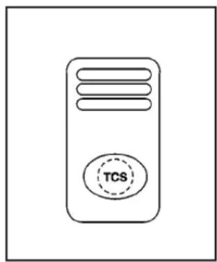 TCS