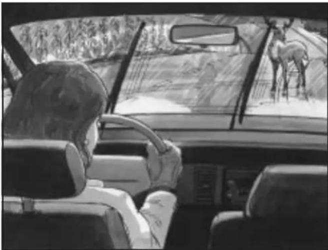 Interior view of a car with driver seated, driver looking out the windshield showing a deer scene (no text or symbols visible)