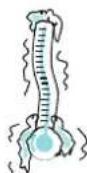 BAUKNECHT EMWD 6622 - Rapid - 4