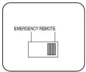 EMERGENCY REMOTE