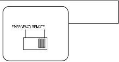 EMERGENCY REMOTE