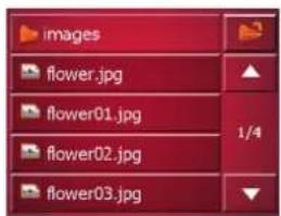 images flower.jpg flower01.jpg flower02.jpg flower03.jpg 1/4