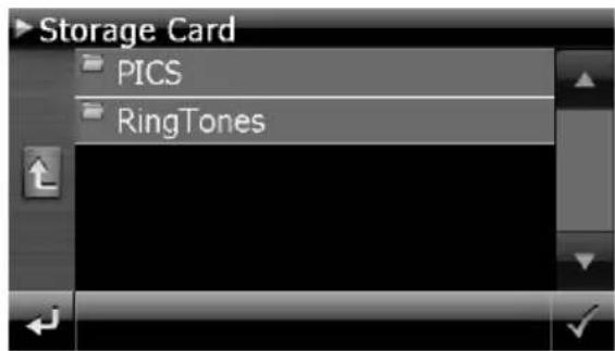 Storage Card PICS RingTones