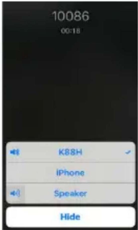10086 00:18 K88H iPhone Speaker Hide