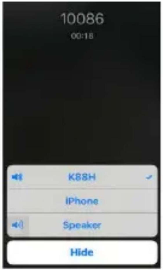 10086 00:18 K88H iPhone Speaker Hide