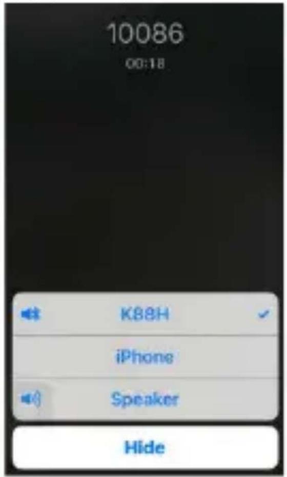10086 00:18 K88H iPhone Speaker Hide