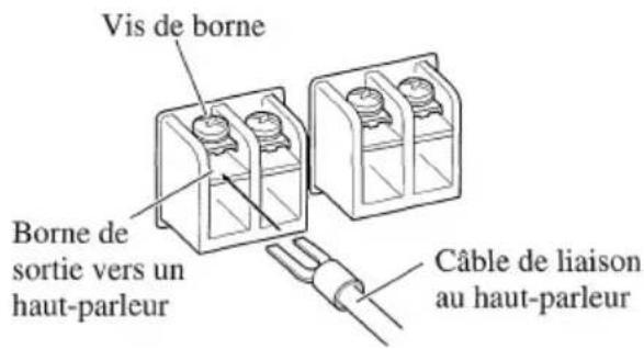 Vis de borne Borne de sortie vers un haut-parleur Câble de liaison au haut-parleur