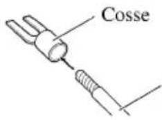 Cosse