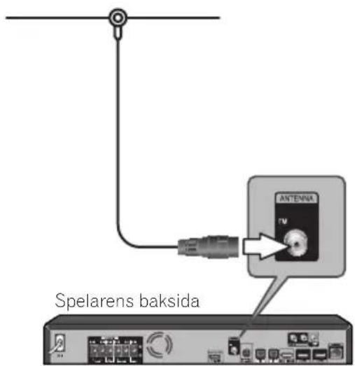 Spelarens baksida ANTENA TV