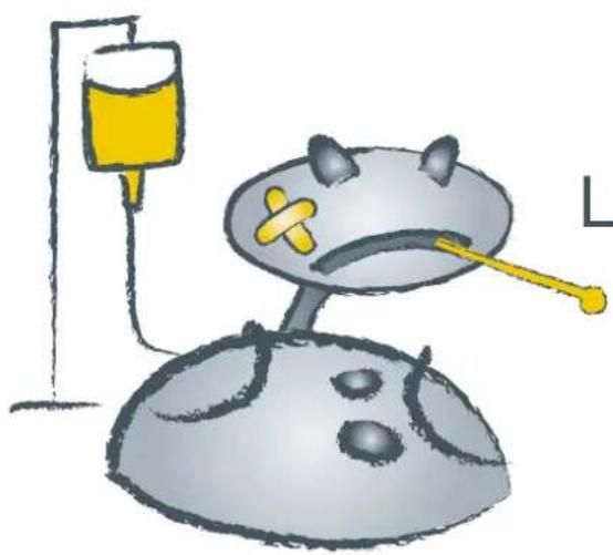 PURE Bug Keeping - Software upgrade - 1