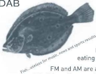 DAB Fish...useless for music, news and sports results eating FM and AM are a