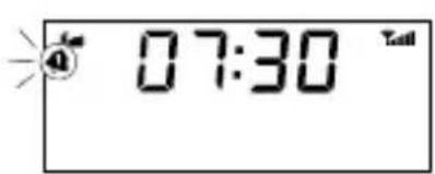 07:30 Tall
