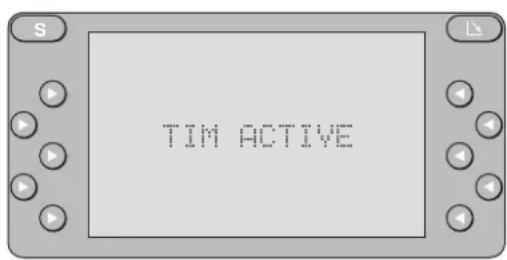 TIM ACTIVE