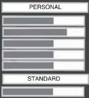 PERSONAL STANDARD
