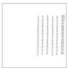 Scanned document with Chinese text, likely a formal or official form