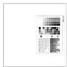 Scanned document page with dense text and a small embedded image, likely a formal letter or report.